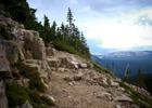 Overlook from trail in the basin. Photo by Allen Phelps.
