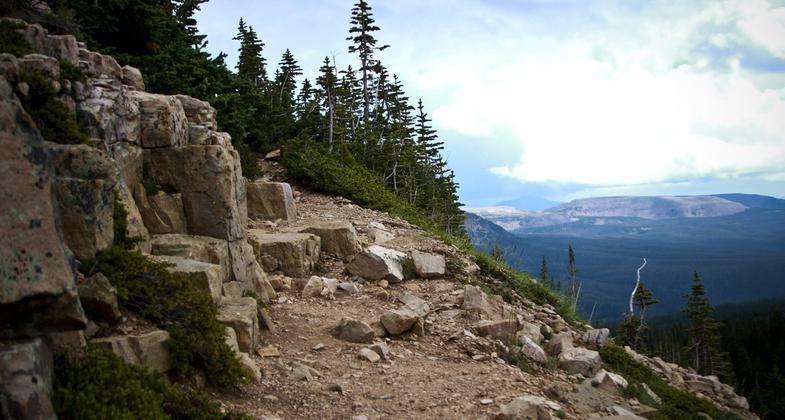 Overlook from trail in the basin. Photo by Allen Phelps.