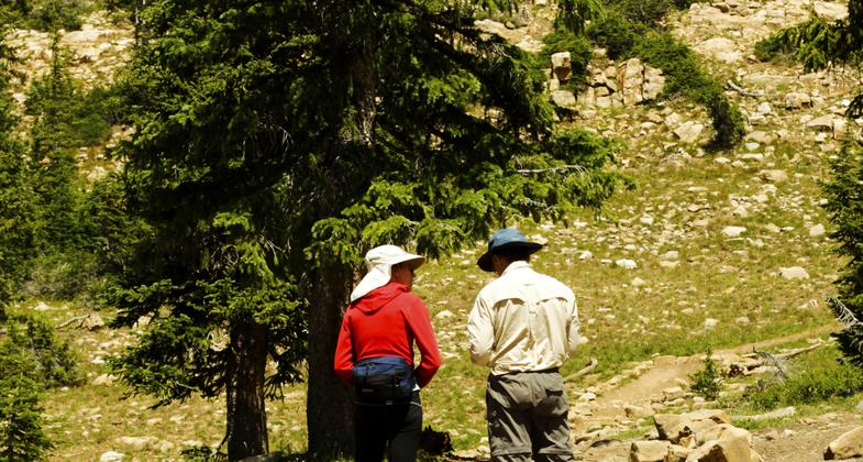 A glimpse of small and simple beauty along the hike. Photo by Allen Phelps.