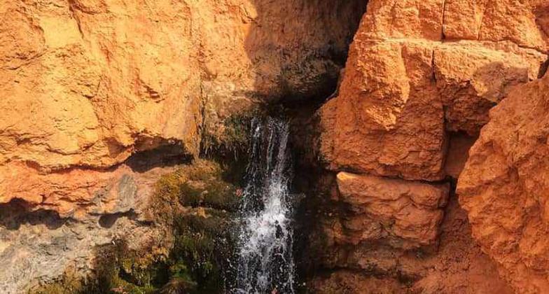 Photo by Pam Riches.