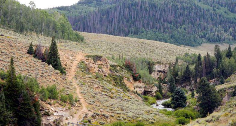 Photo by Richard Warnick, USFS.