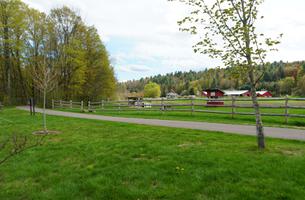 Stowe Recreation Path