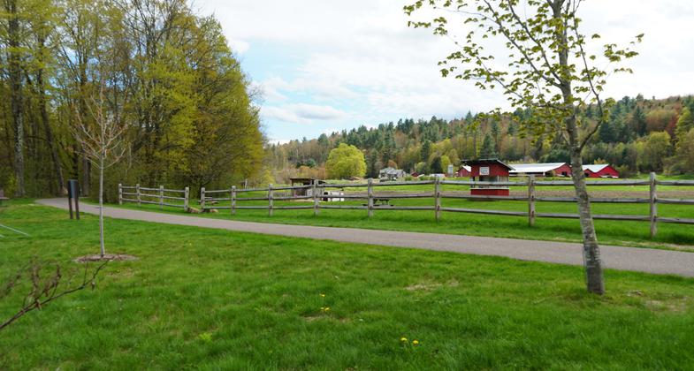 Scenery along the path. Photo by Stowe Area Association.