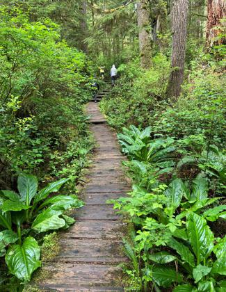 The Cape Alava Trail on the Olympic Coast of Washington. Photo by Chris Sheffield.