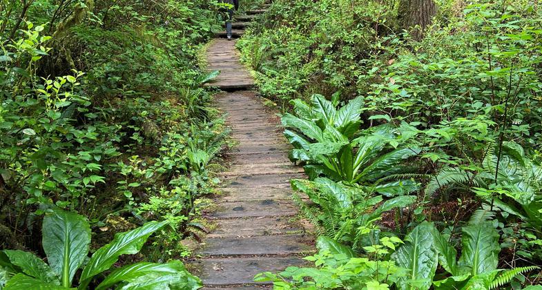 Ozette Island. Photo by David van Wingerden.