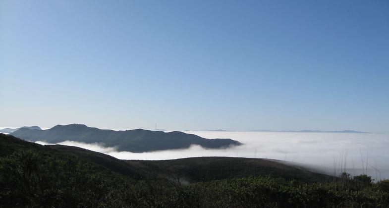 Coastal Trail from Tennessee Valley to Muir Beach as the NorCal fog rolls in. Photo by Nikki Montembeault.