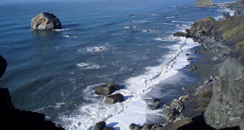 Redwood National Park rocky coast and seastacks as seen from High Bluff Overlook looking north. Photo by National Park Service.