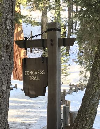 Start of trail. Photo by Pam Riches.