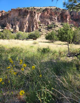 Bandelier National Monument - New Mexico - Cliff Dwellings - Alcove House