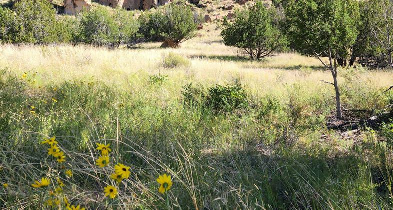 Bandelier National Monument - New Mexico - Cliff Dwellings - Alcove House