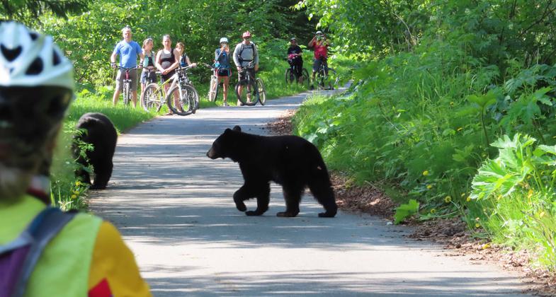 2025 Photo Contest Winner - Environmental Features Category. Photo by Barry Weiss