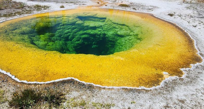 Morning Glory Pool. Photo by NPS.
