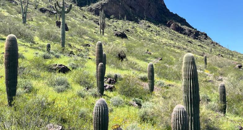 The trail was intense. More cables areas than expected but the view is worth it!