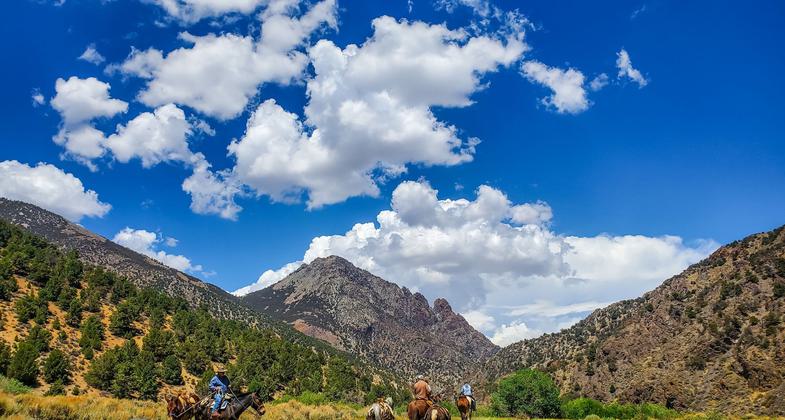 Equestrians along the Toiyabe Crest Trail in Arc Dome Wilderness.