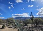 Beautiful landscape and skies on the Desert Ecology Trail. Photo by Sue Crowe