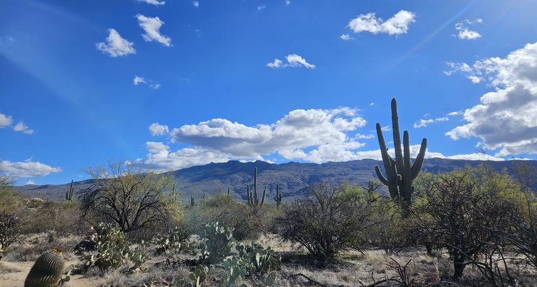 Beautiful landscape and skies on the Desert Ecology Trail. Photo by Sue Crowe