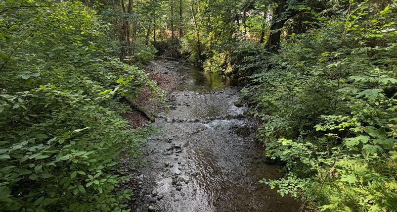 Trails are well done. Photo by Wendy Ray