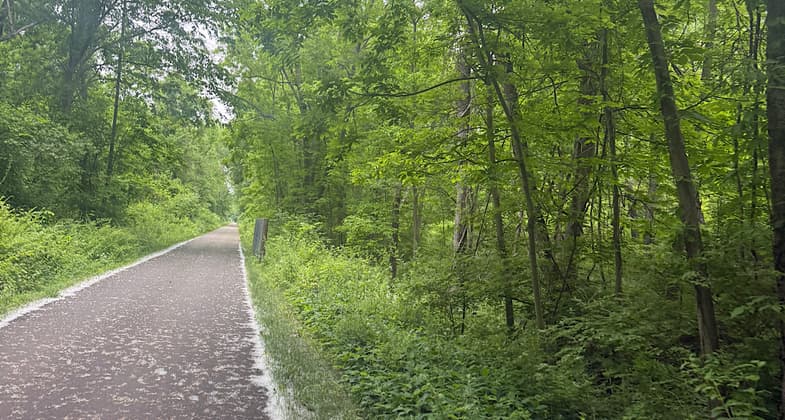 Photo by Patricia Ellis