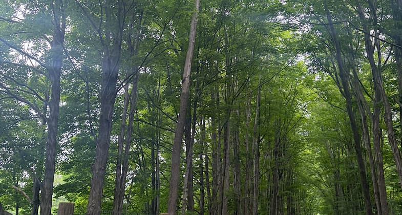 Photo by Patricia Ellis