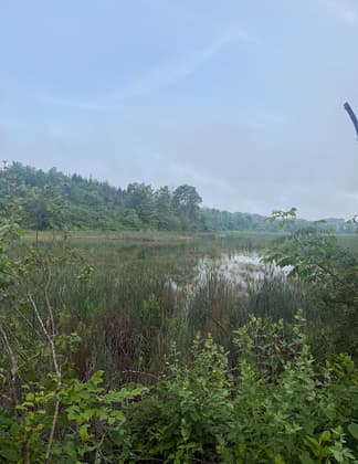 Water views