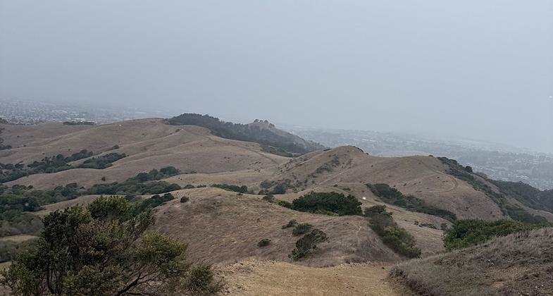 San Francisco seen from the East Bay Skyline National Recreation Trail in Tilden Regional Park. Photo by John Rabold.