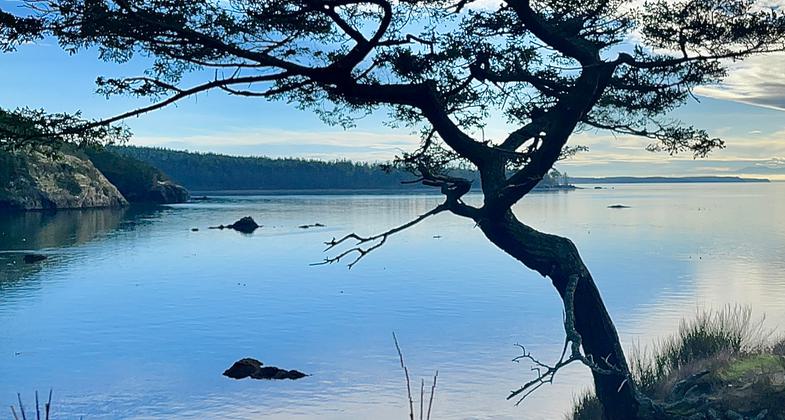 Bowmans Bay near sunset