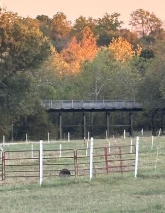 My view of the whistle stop