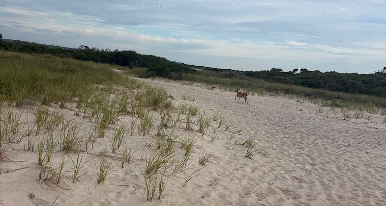 Photo by National Park Service