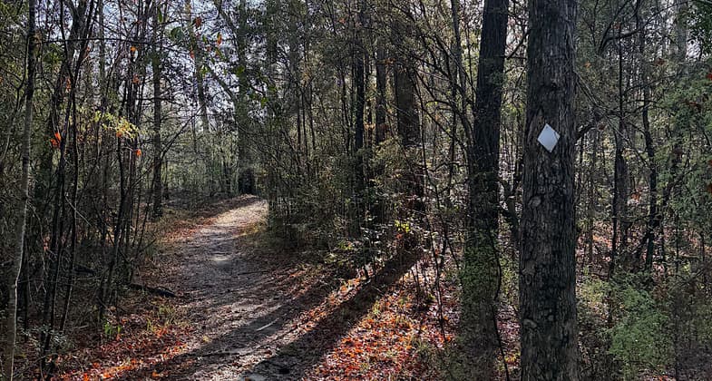 photo by Trish Ellis. Photo by Patricia Ellis