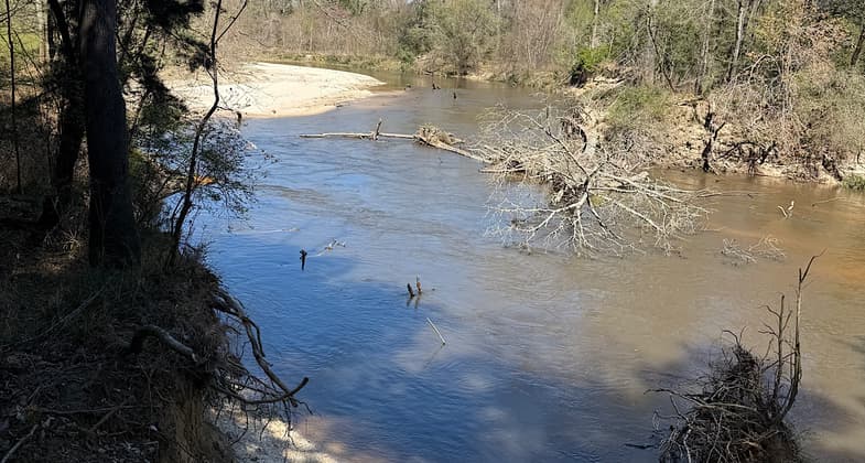 photo by Trish Ellis