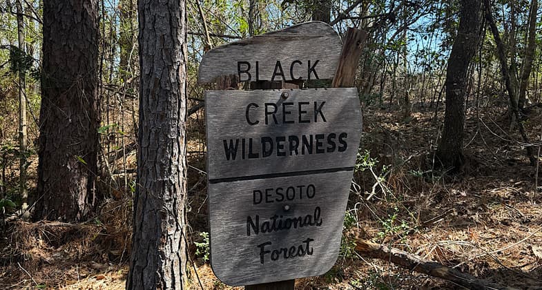 photo by Trish Ellis