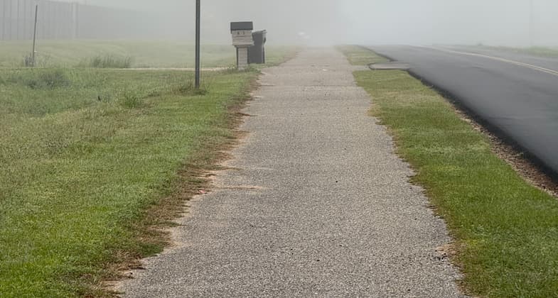 Mobile Bay bluff in Fairhope. Photo by Scott Douglass