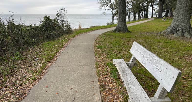 Mobile Bay bluff in Fairhope. Photo by Scott Douglass