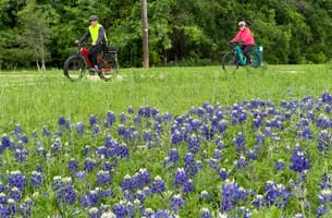 Bluebonnet Trail