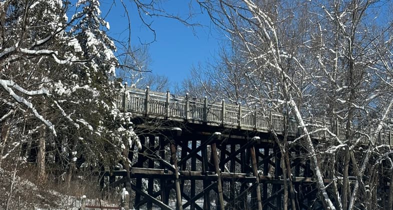 My view of the whistle stop