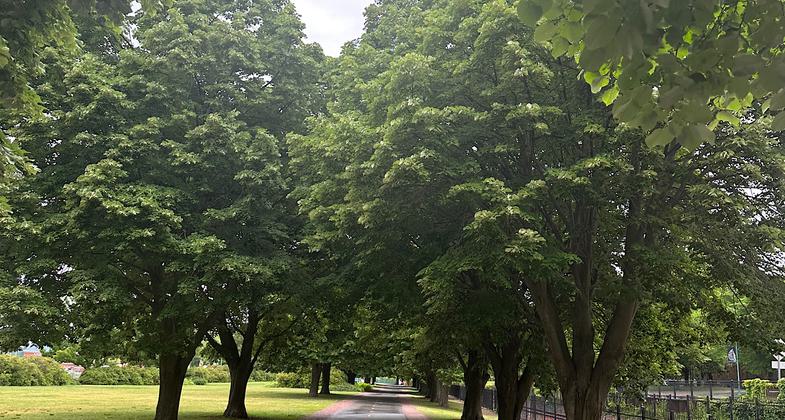 Causeway. Photo by Janie Walker