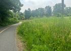 Bike path. Photo by Janie Walker