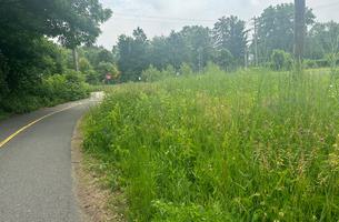 Mass Central Rail Trail (Northampton Section)