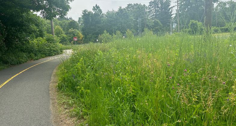 Bike path. Photo by Janie Walker