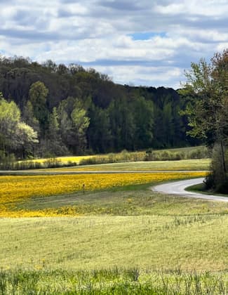 View off of the bridge