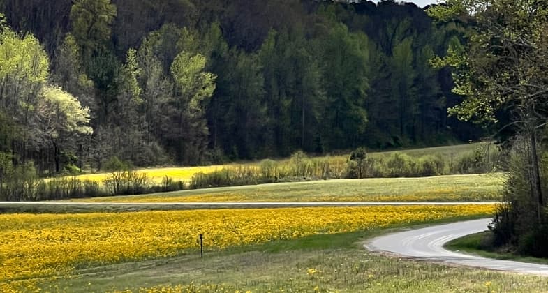 The trail gently winds through a reforested landscape and has a crushed rock surface. Photo by Donna Kridelbaugh.