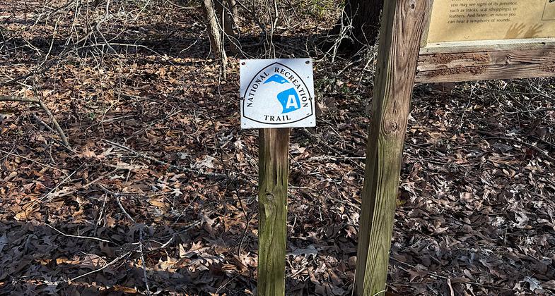 Photo by Trish Ellis. Photo by Trish Ellis