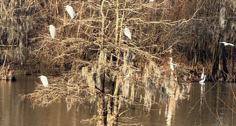 Now called “Nature Trail”