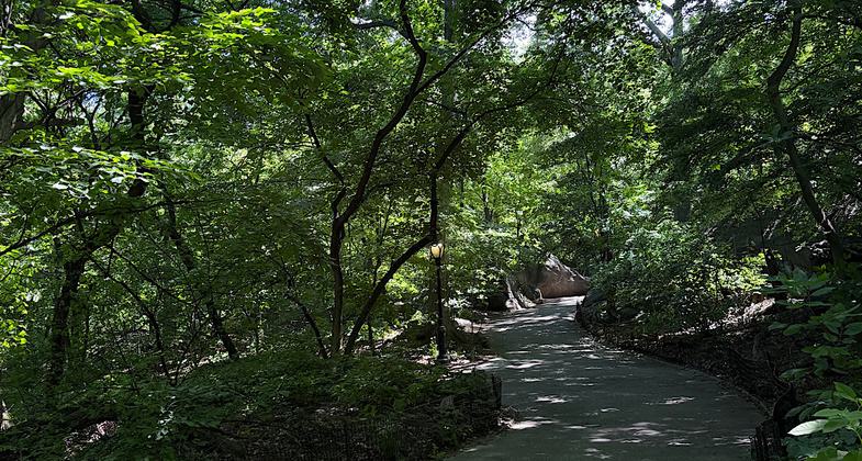 Arthur Ross Pinetum