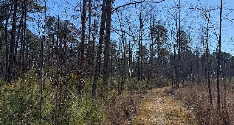 Young equestrians enjoying a ride on the trail. Photo by Donna Phillips.