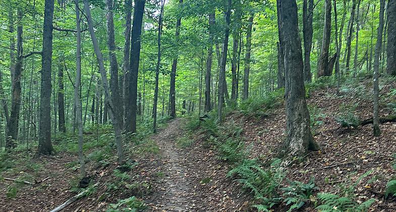 Shelter. Photo by Janie Walker