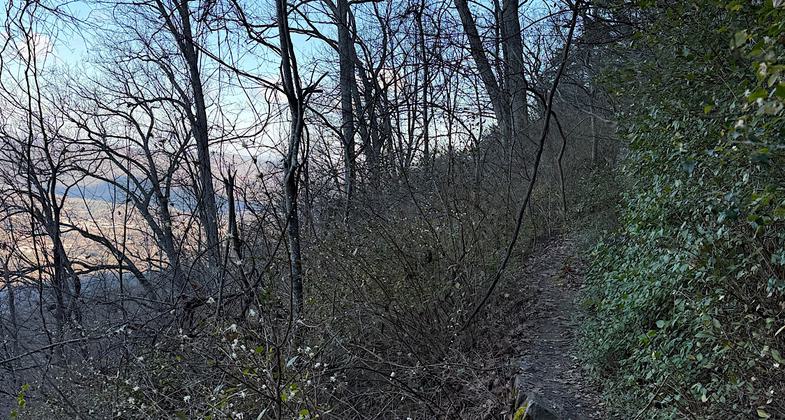 Looking west towards Lookout Valley. Photo by NPS.