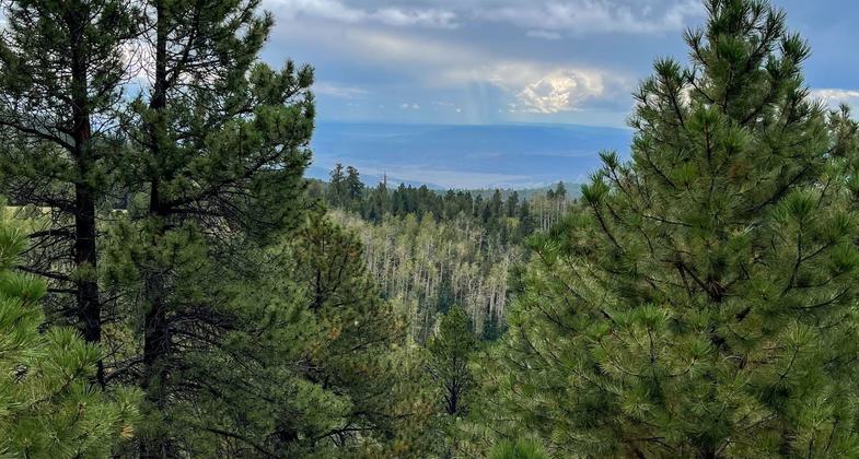 Mount Taylor as seen from the village of Encinal, New Mexico. Photo by Charles Xavier/wiki.