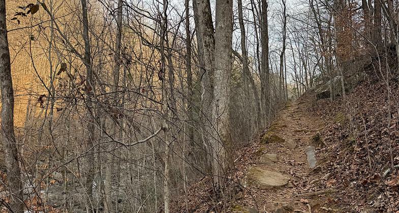 Laurel-Snow State Natural Area. Photo by Tennessee DEC.