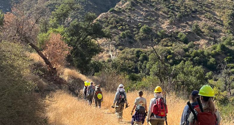 A hillside of yucca greets hikers along the Santa Cruz trail.